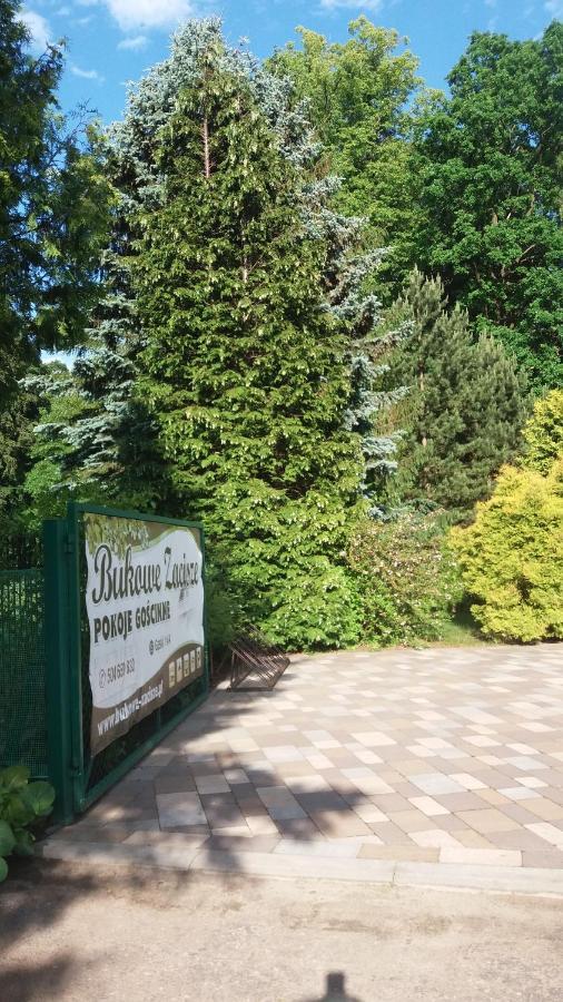 Bukowe Zacisze Apartment Gąski Екстериор снимка